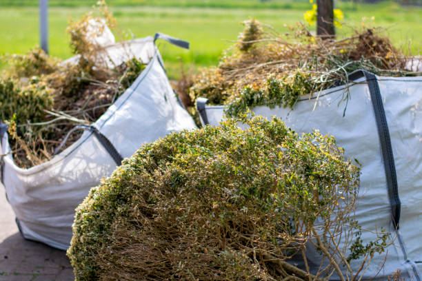 Best Professional Junk Removal  in Richland, GA